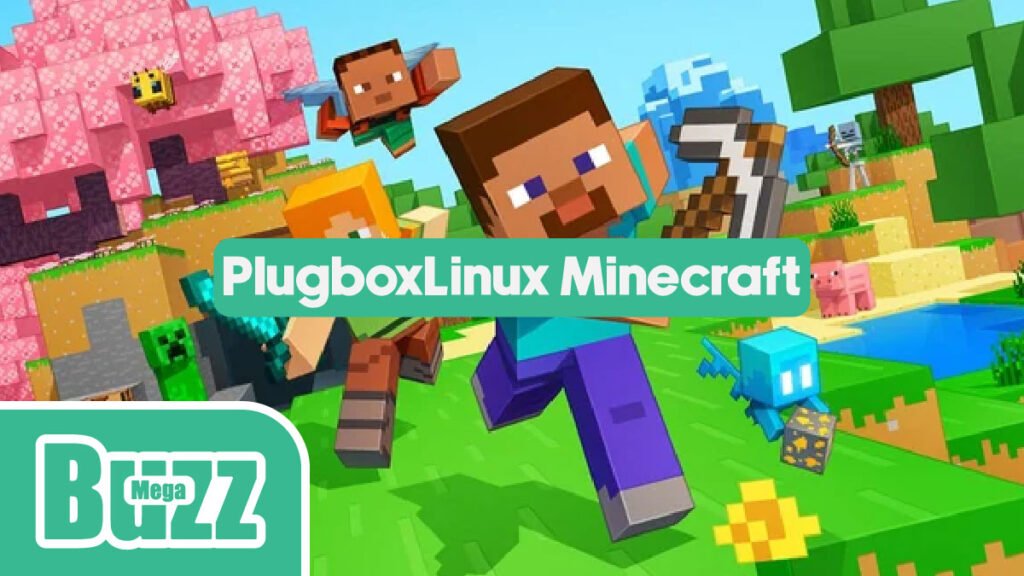PlugboxLinux Minecraft: Setup, Speed and Server Guide